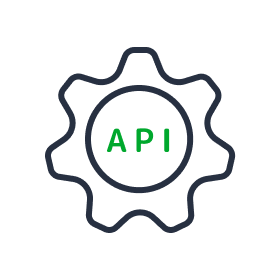 API Developer